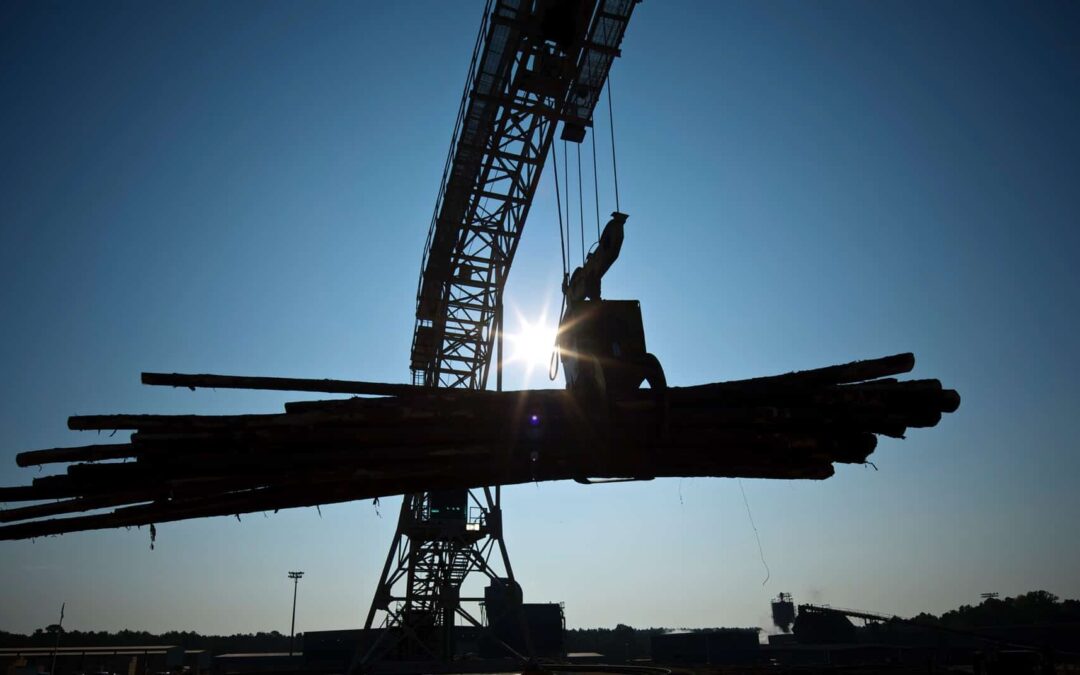 Banner_Image_Sawmill_Machinery Promac Sawmill